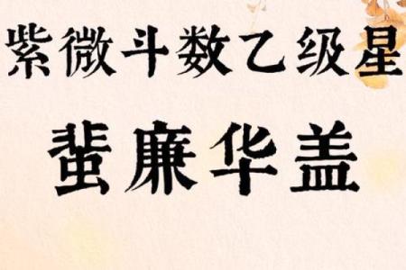 紫薇斗数胆子小