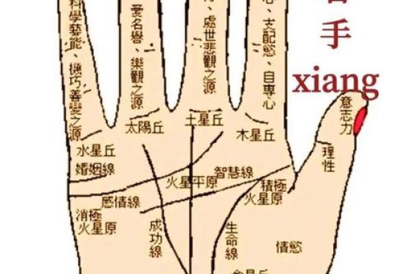 女人右手掌纹图解算命