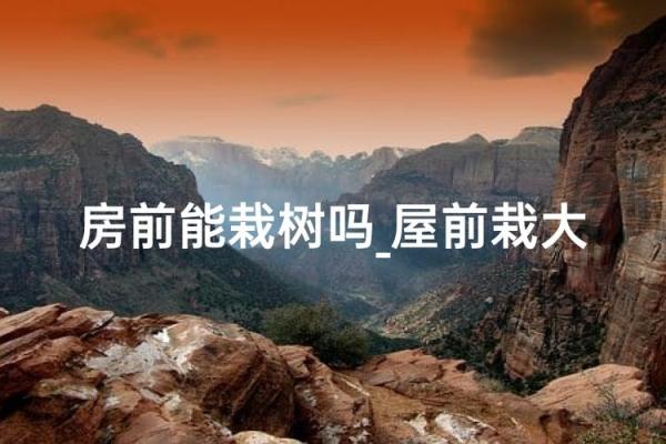 别乱栽树，坏了风水哭都来不及