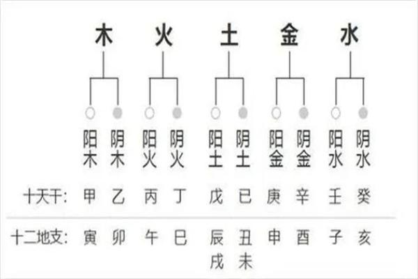 八字校准