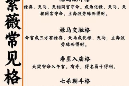 紫微斗数诸星落诸宫之：贪狼星福德宫详解