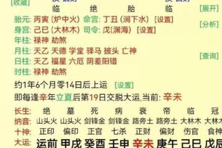 八字己巳