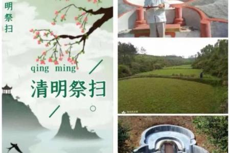 别乱栽树，坏了风水哭都来不及