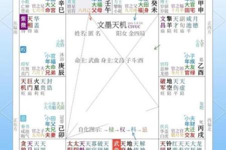 刘台柱紫薇斗数