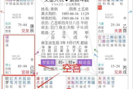 紫微斗数诸星落诸宫之：巨门星奴仆宫详解