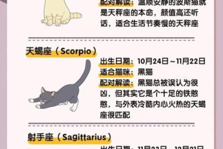 十二星座猫咪图欣赏：萌化你的心！