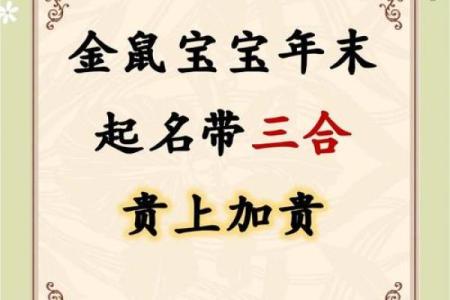 给下午2点出生的属鼠男孩起名适合用什么字姓名