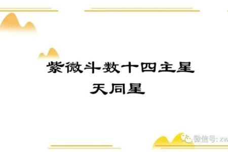 紫微斗数十四主星：天同星概论