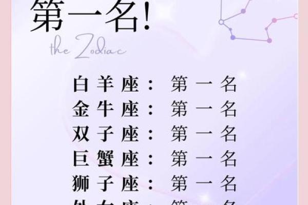 职场中哪个星座执行力最好