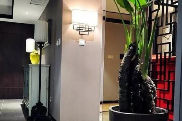 婆婆房子风水差怎么办呢