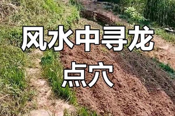 如何看墓地风水宝地