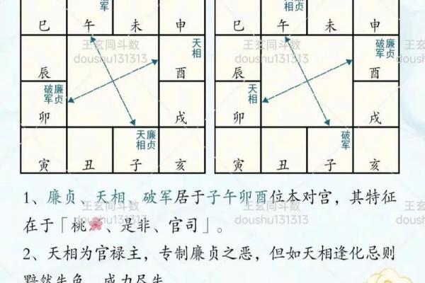 紫薇斗数蜚廉星