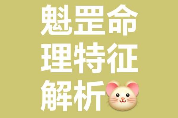 八字表情包什么意思