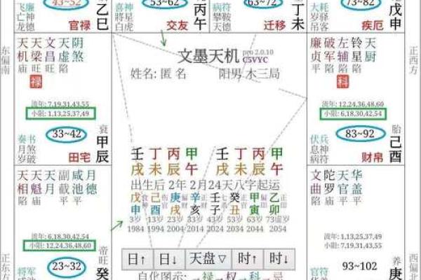 紫薇斗数命主详解