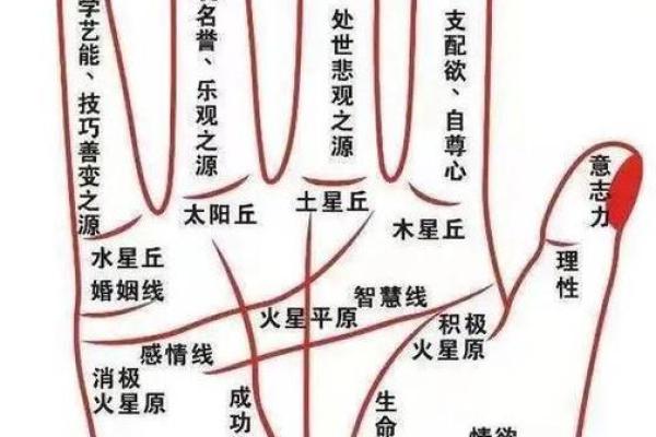 女手相算命图解