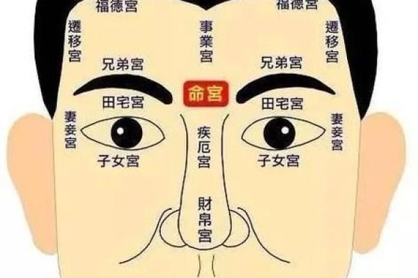 民间面相算命顺口溜