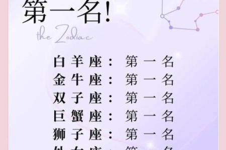 职场中哪个星座执行力最好