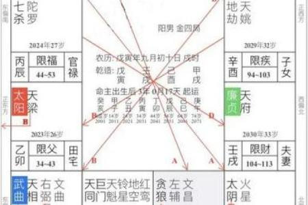紫薇斗数身主天机