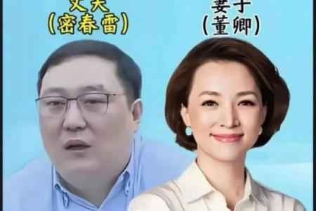 白岩松八字,撒贝宁八字