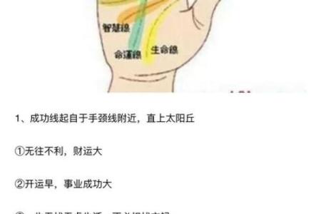 梦见看手相算命