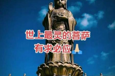 佛祖身边那么多人，为什么只有观音菩萨自告奋勇，去寻找取经人？