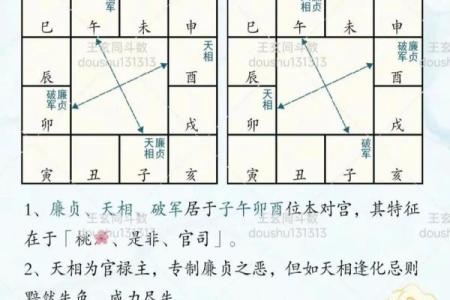 紫薇斗数蜚廉星