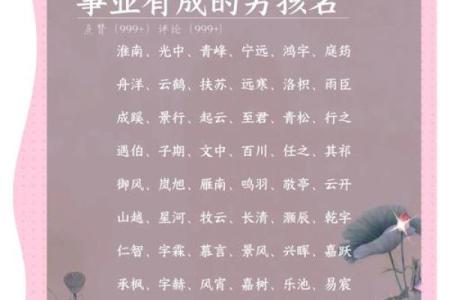成姓男孩名字大全-成姓男孩起名字大全-成姓名字大全姓名