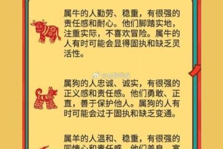 属羊和属鼠的八字合吗
