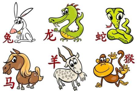 属鼠八字