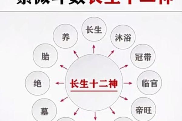 紫薇斗数福禄宫