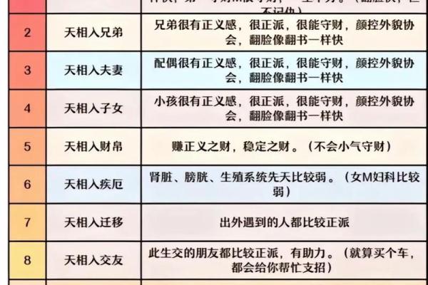 紫薇斗数象意