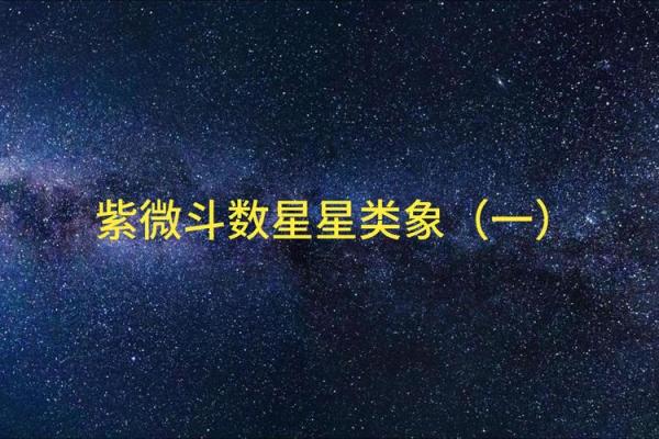 紫薇斗数象意