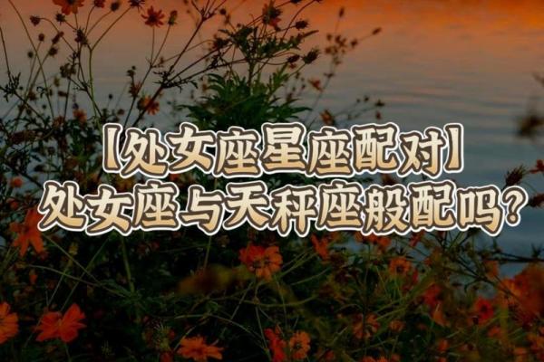 处女座和什么星座最配？处女座和天秤座合适吗？