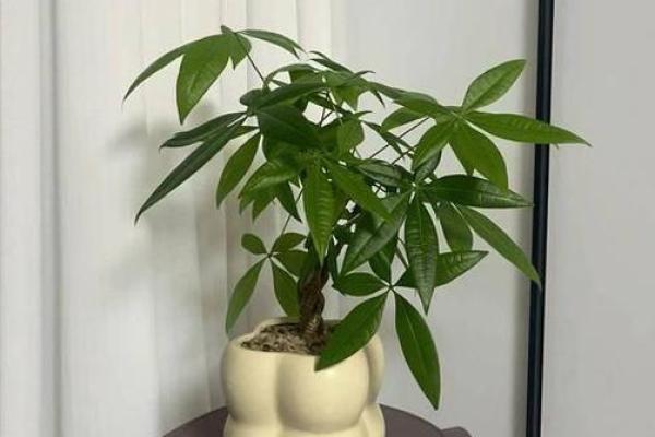 做生意的风水禁忌，想发财必看