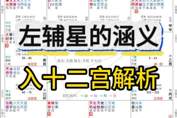 紫薇斗数12神