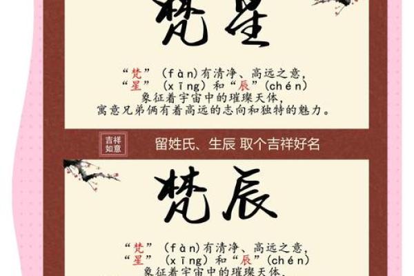 双胞胎宝宝起名注意7个事项和三个准则-姓名学-华易网姓名