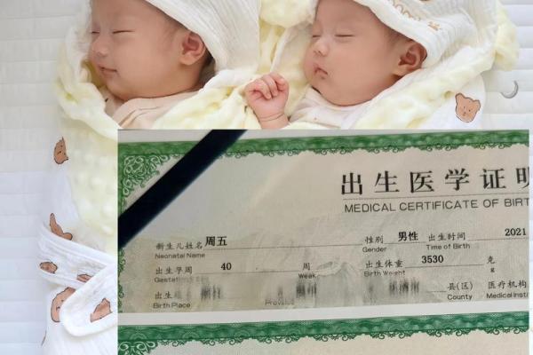 双胞胎宝宝起名注意7个事项和三个准则-姓名学-华易网姓名