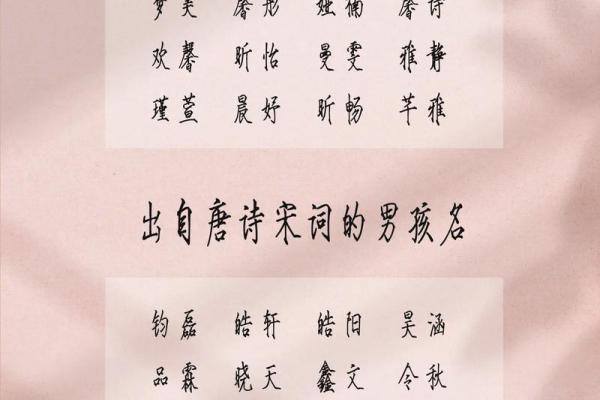 属兔寅时出生的男孩如何起名比较好姓名