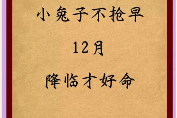 属兔寅时出生的男孩如何起名比较好姓名