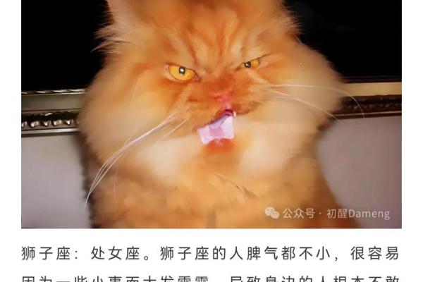 哪个星座发火时最容易分手伤心