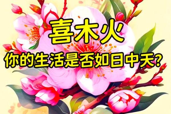 八字喜木火适合做什么