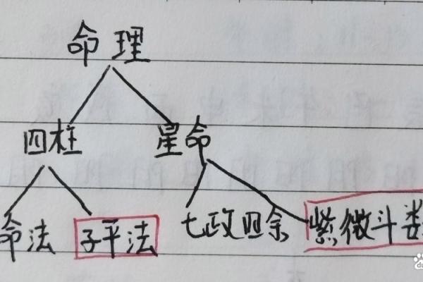 提纲八字