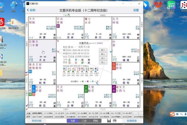 成龙紫薇斗数