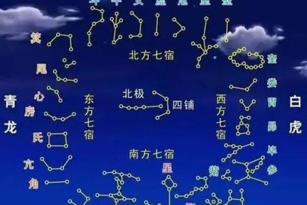 成龙紫薇斗数