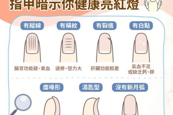 指甲 风水