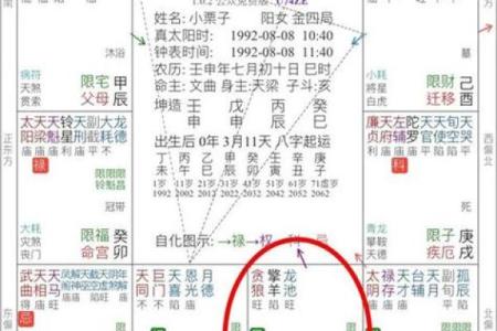 紫薇斗数看流年财富