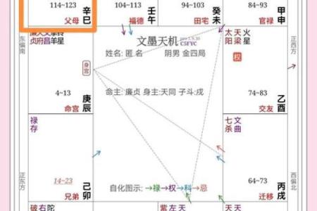 紫微斗数诸星落诸宫之：太阴星财帛宫详解
