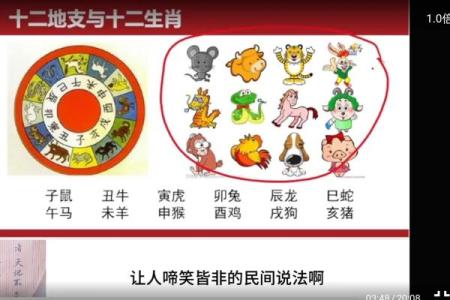 天生八字好富贵是什么生肖属相