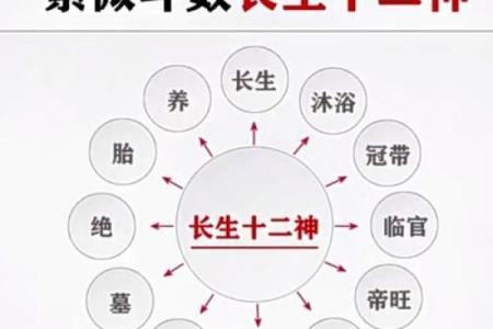 紫薇斗数福禄宫