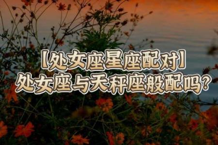 处女座和什么星座最配？处女座和天秤座合适吗？